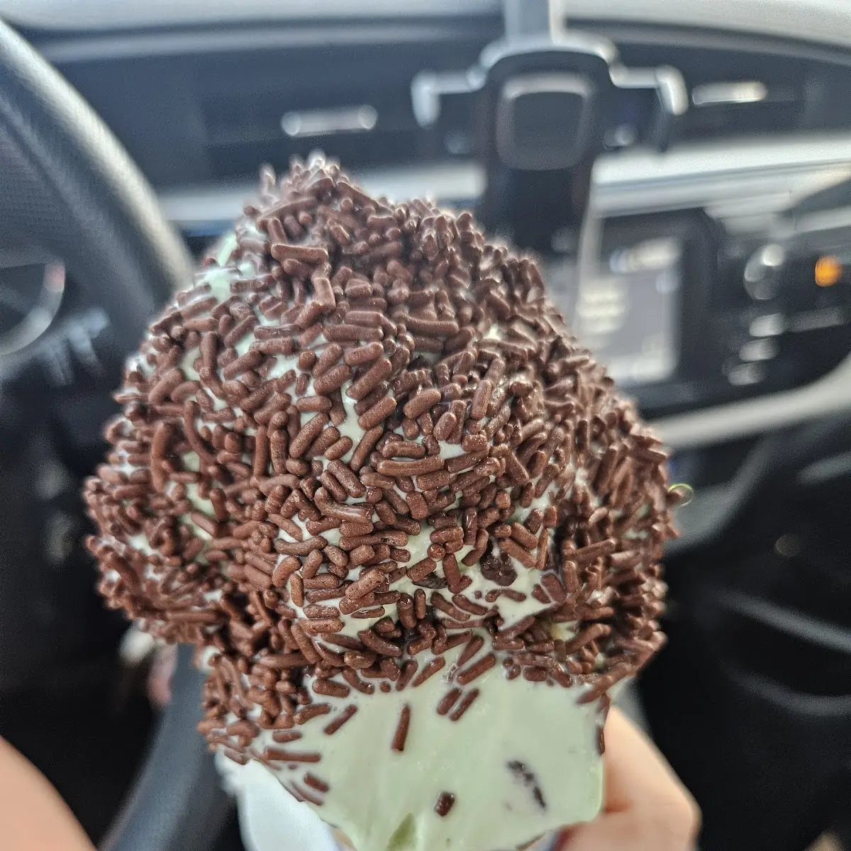 Mint Chocolate Chip