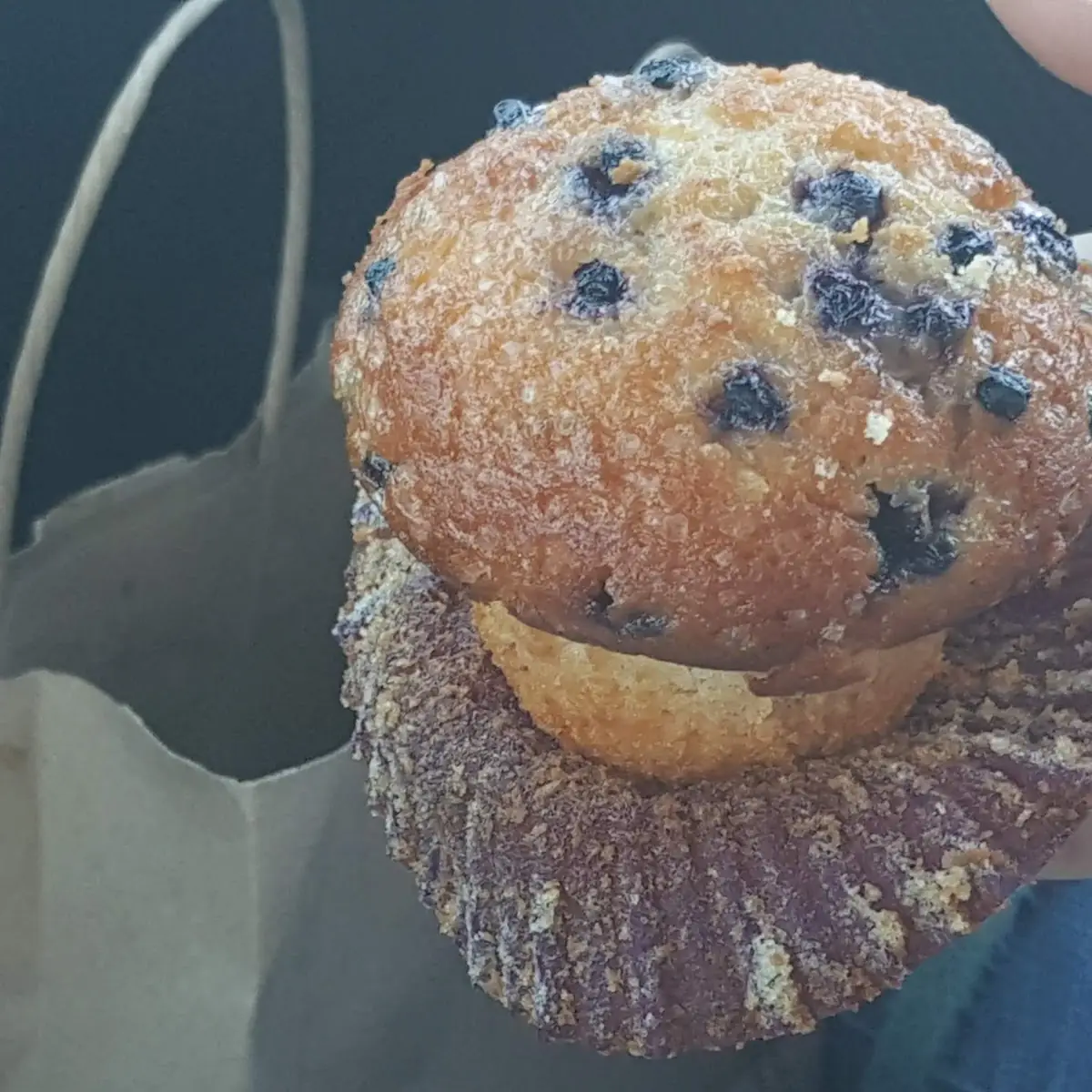 Blueberry Muffin