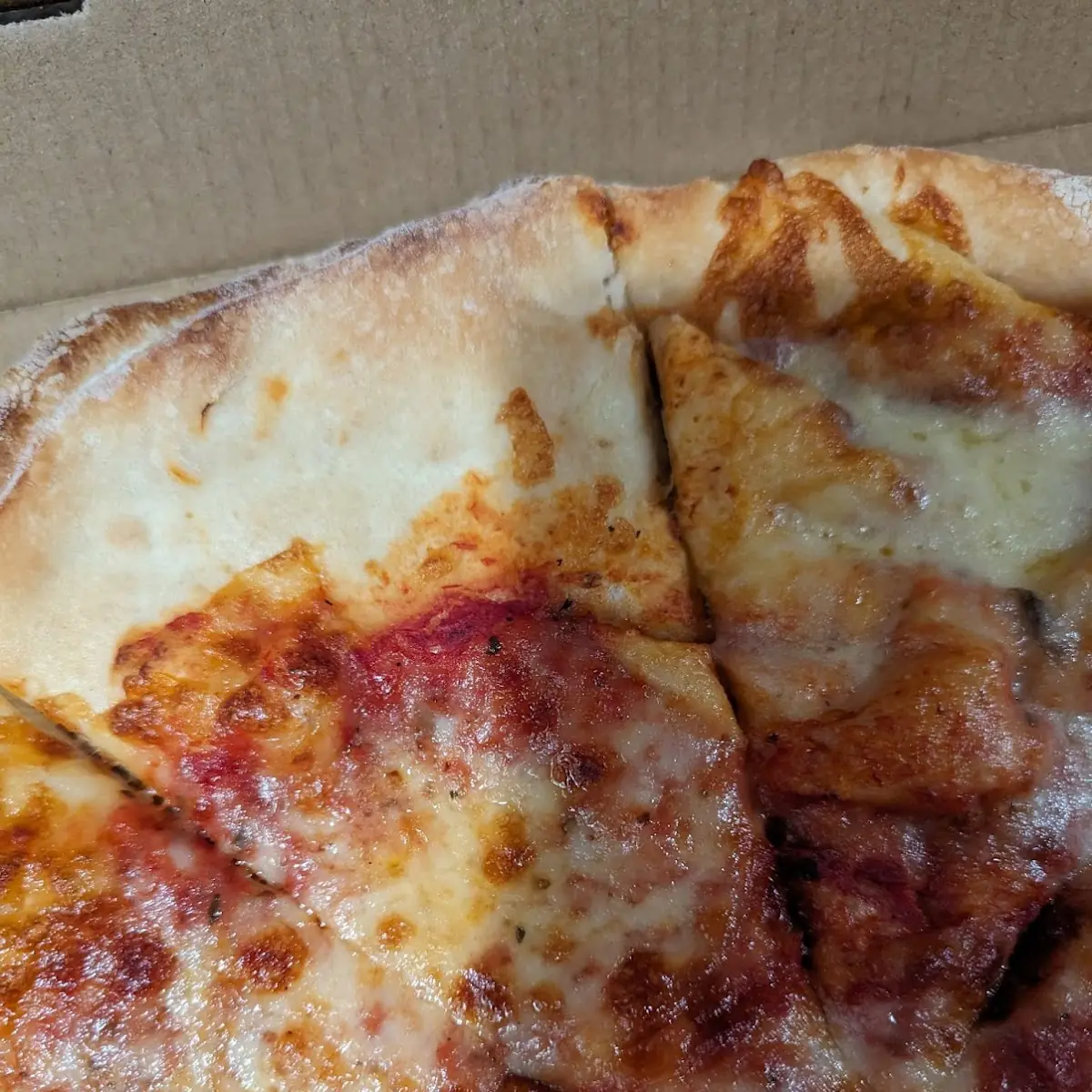 Plain Pizza