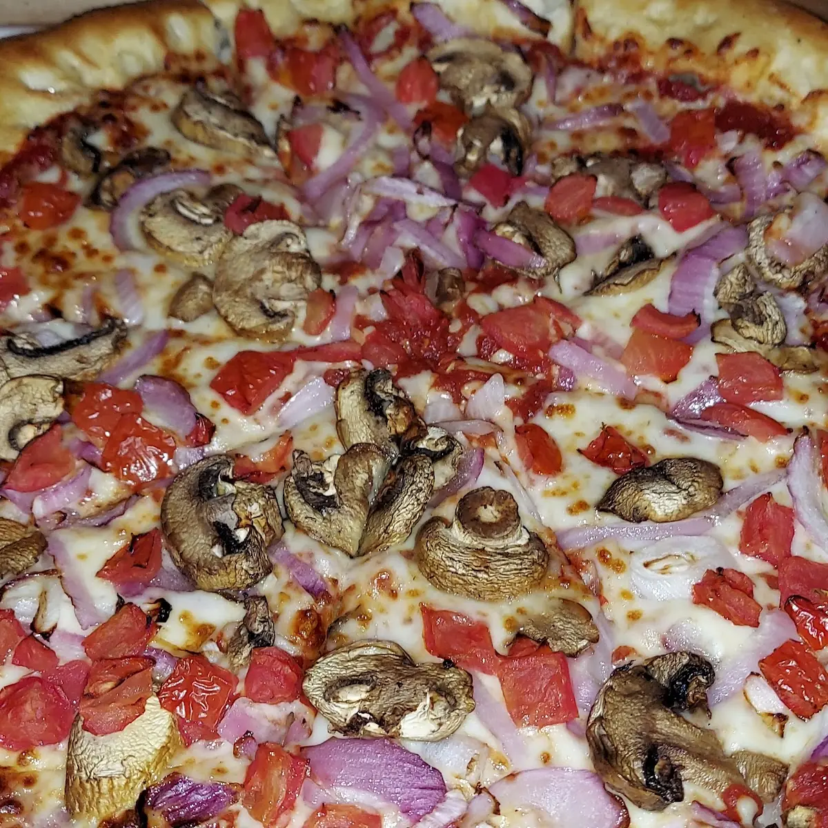 Veggie Lover's Pizza