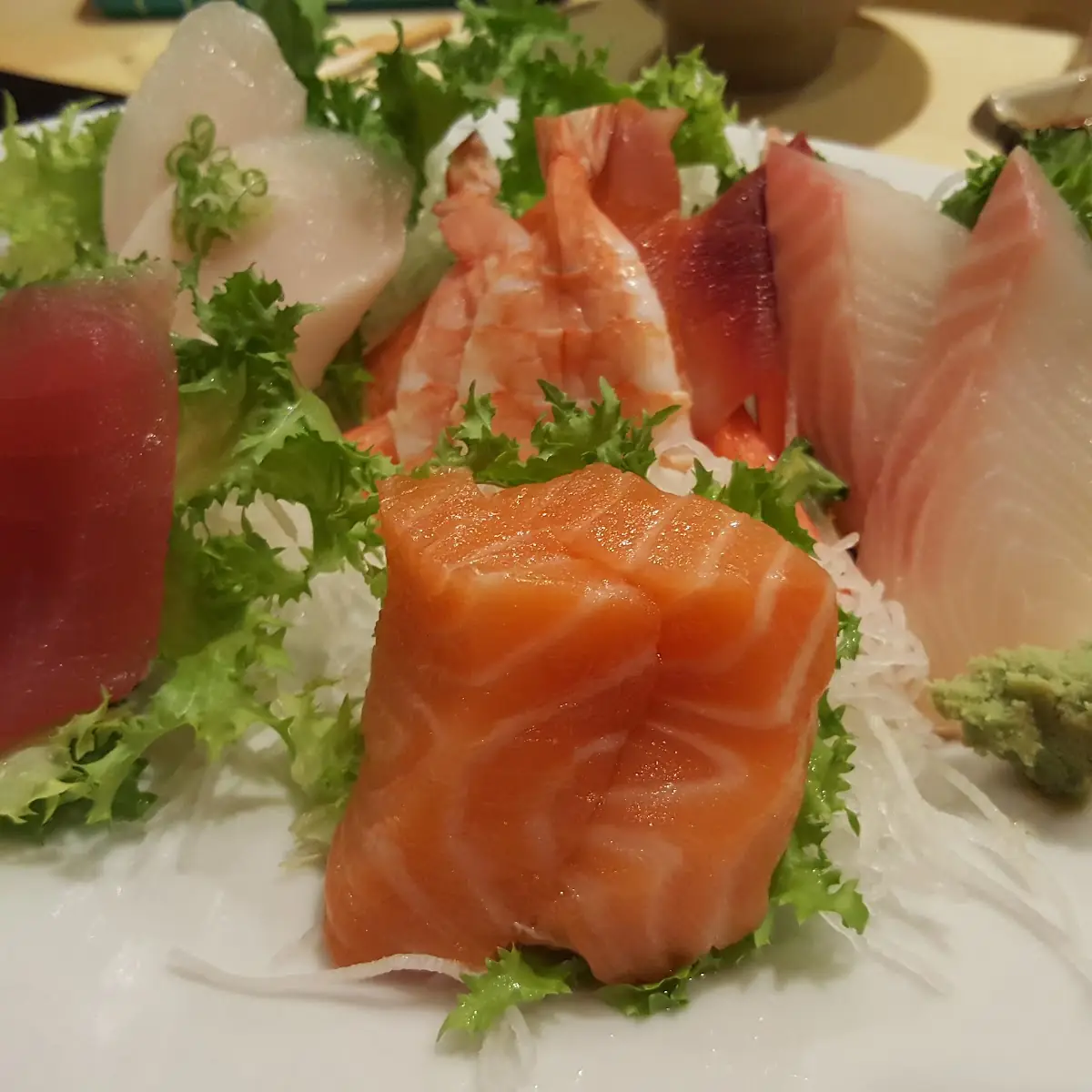 Salmon Sashimi