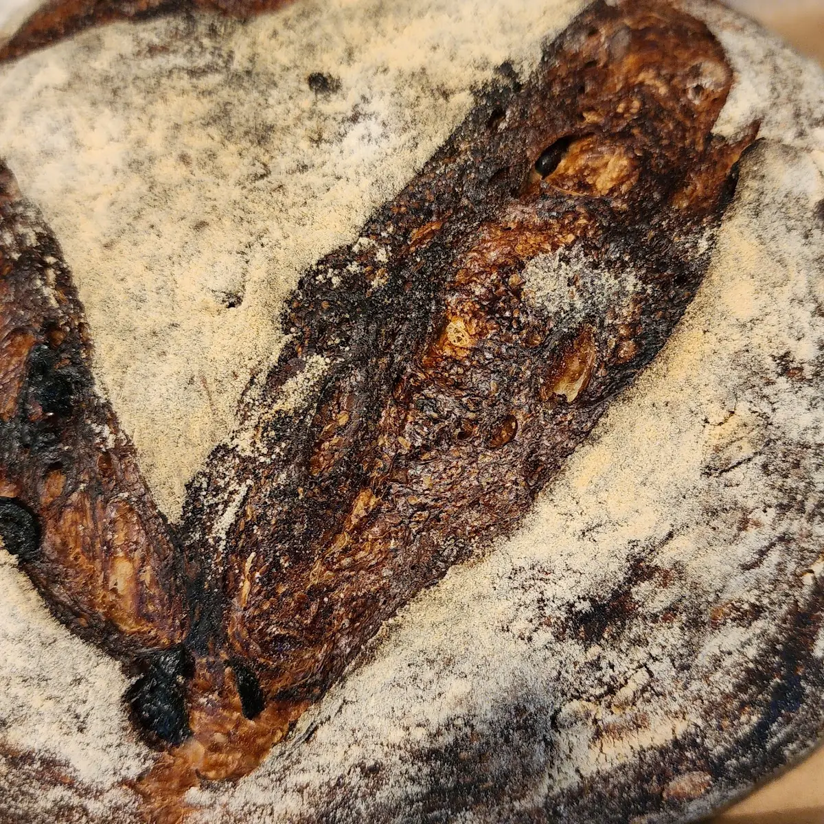 Sourdough
