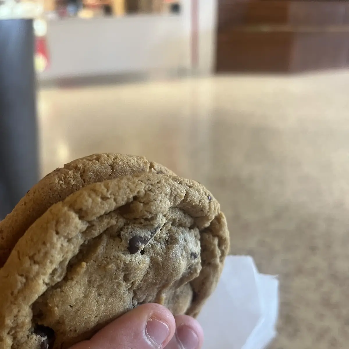 Chocolate Chip Cookie