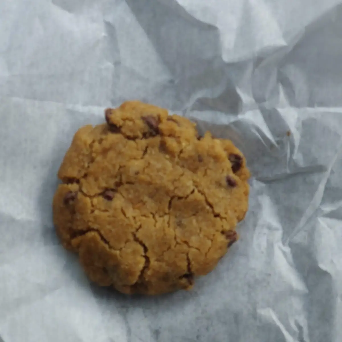 Chocolate Chip Cookie