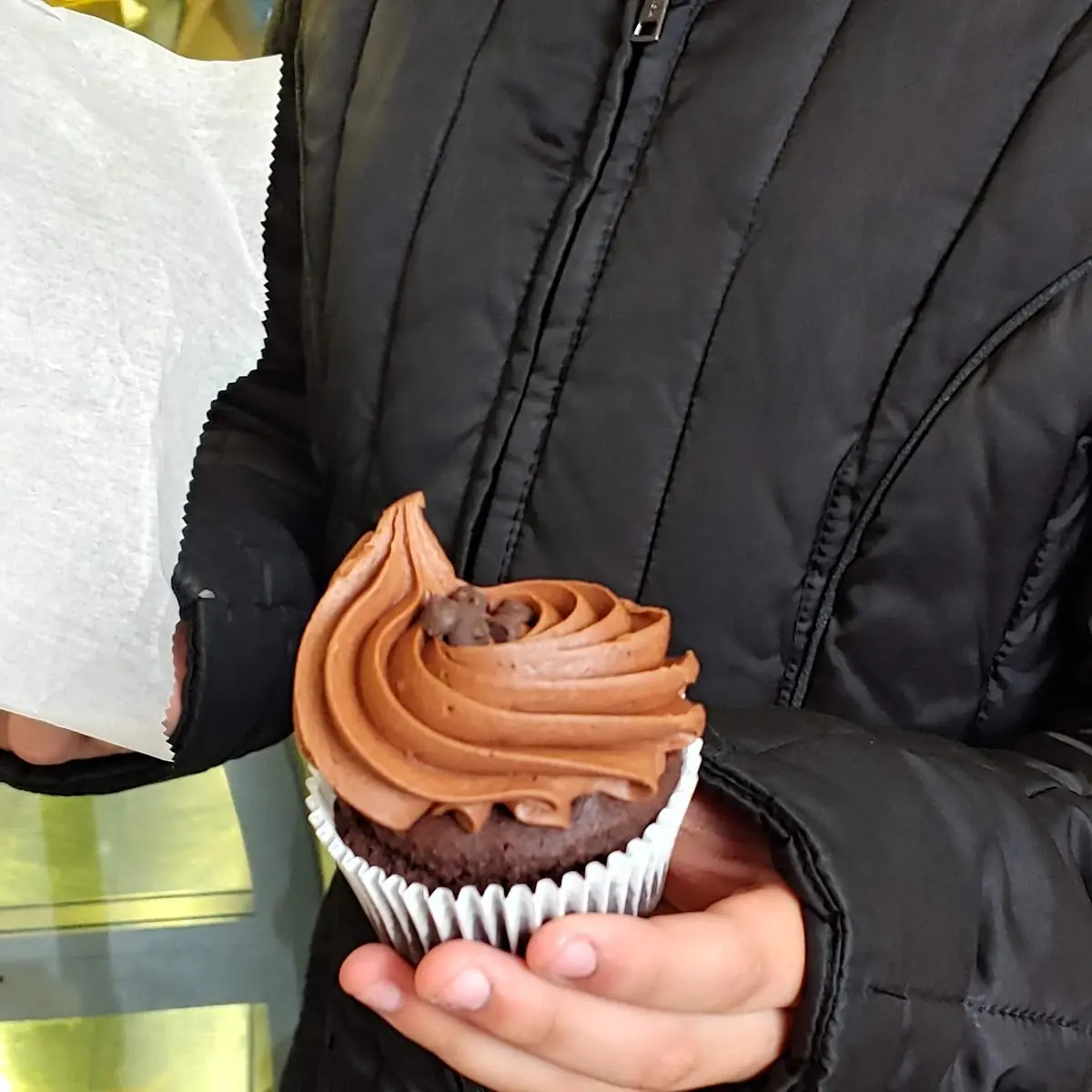 Double Chocolate Cupcake