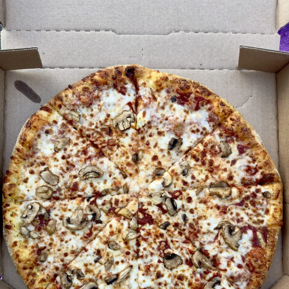 Mushroom Pizza