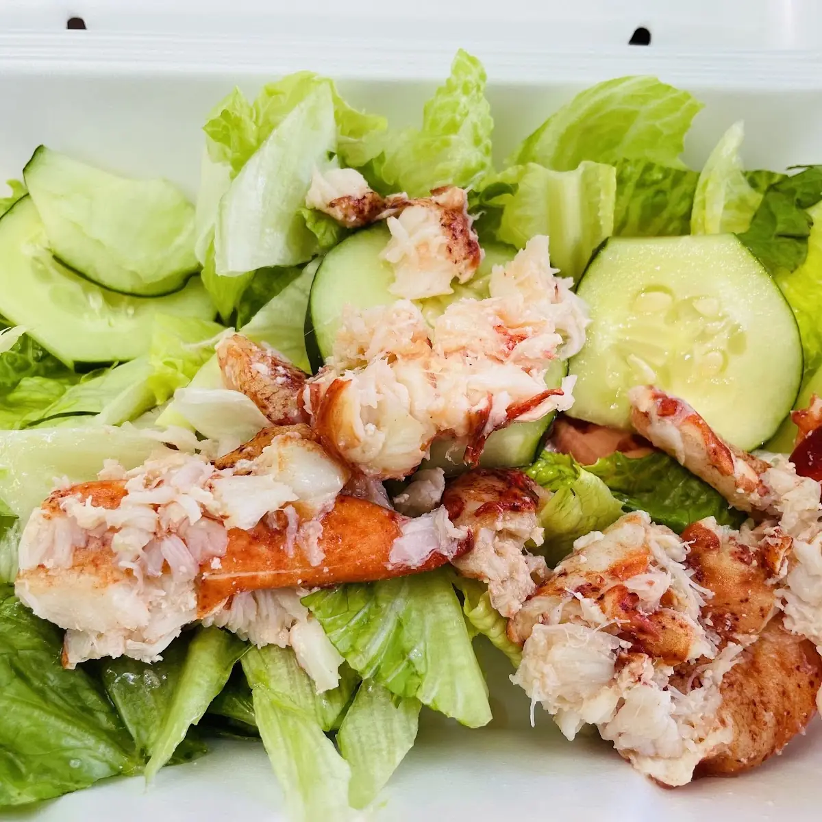 Lobster Salad