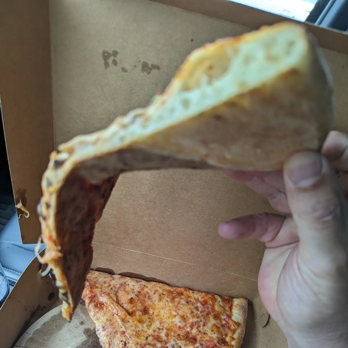 Mushroom Pizza Slice and Cheese Pizza Slice