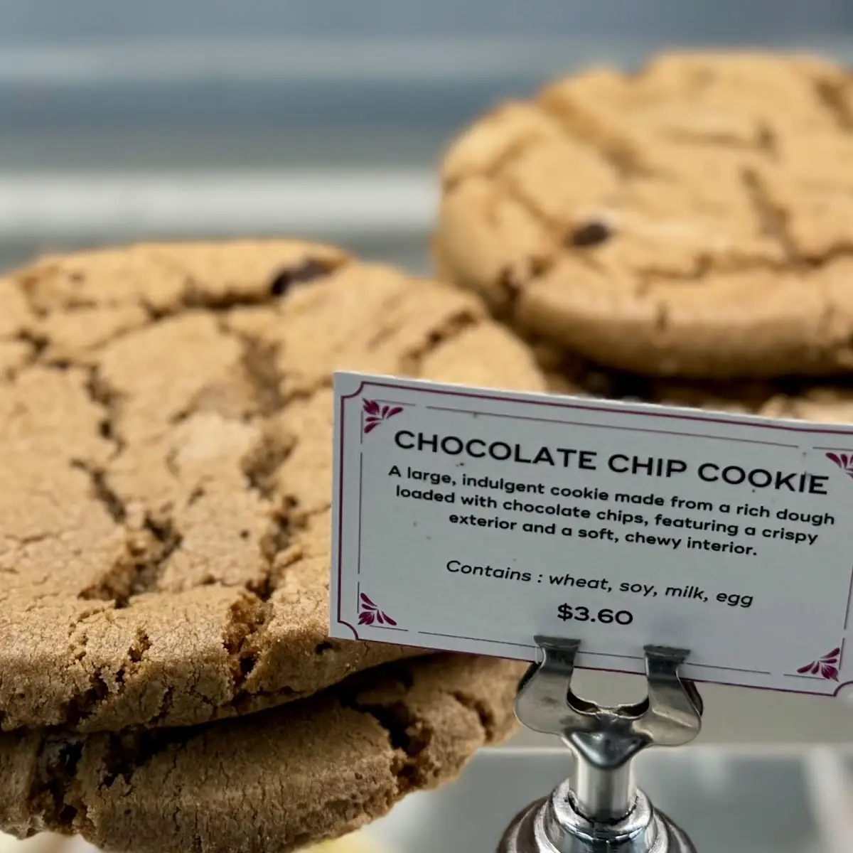 Chocolate Chip Cookie