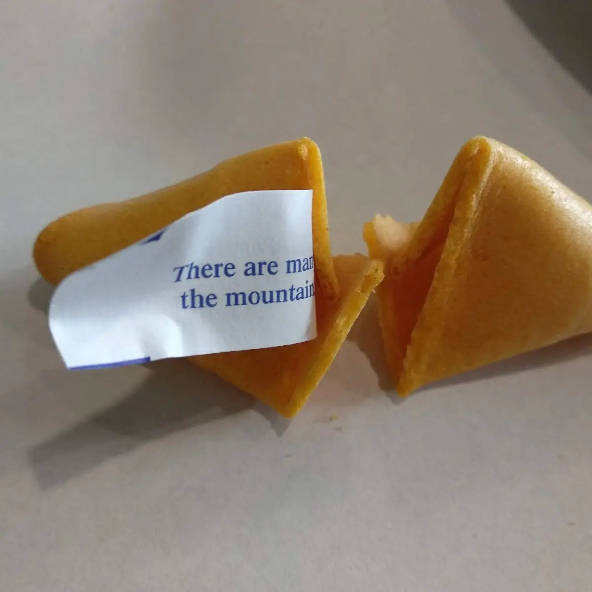 Fortune Cookie