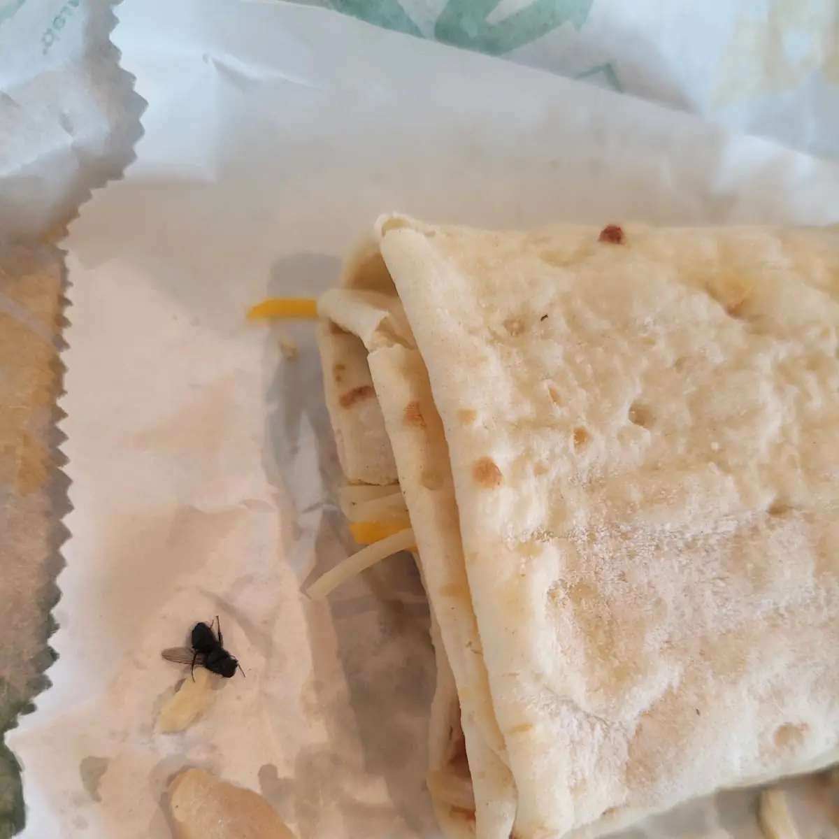 Chicken Bacon Ranch Wrap Dead Fly