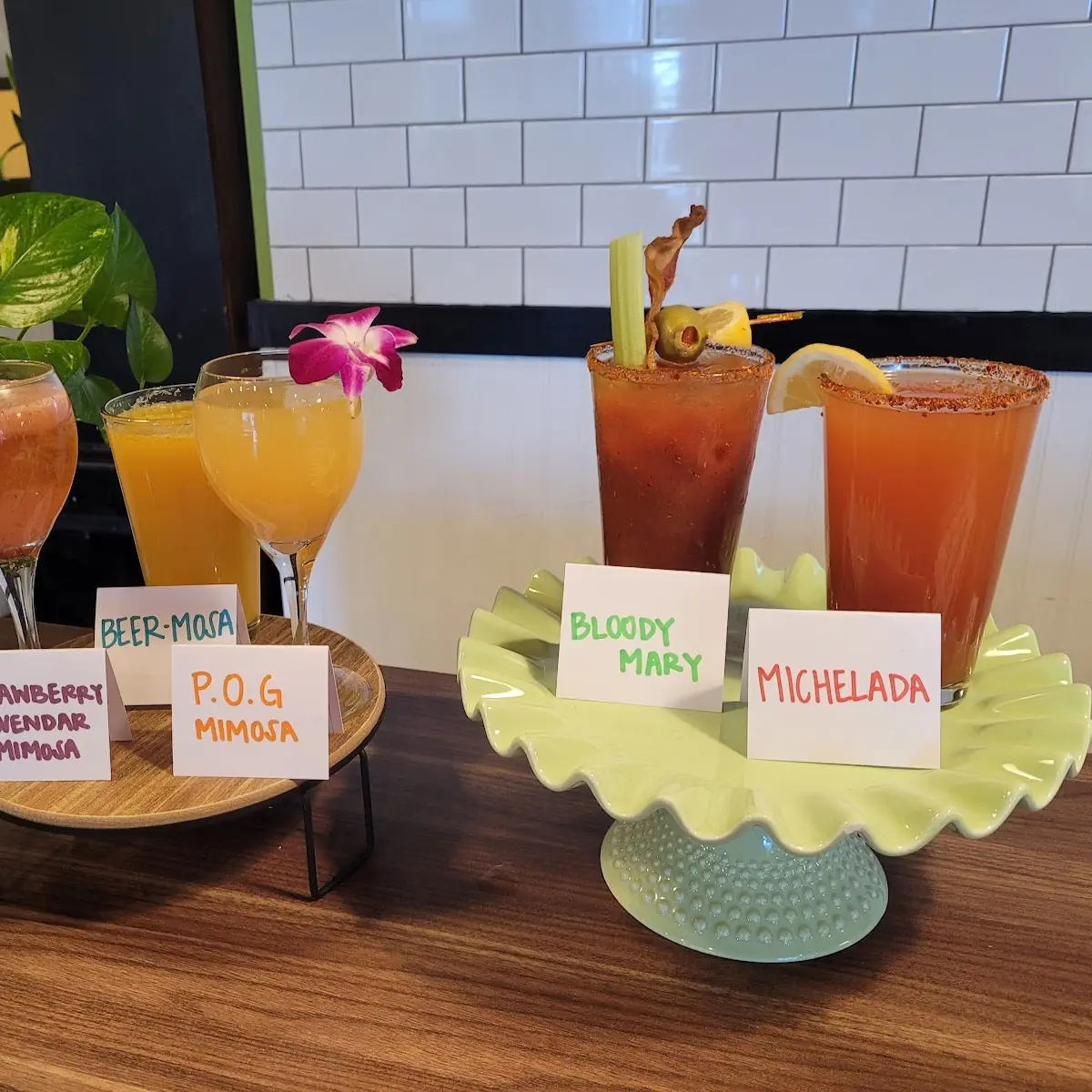 Mimosa Flight