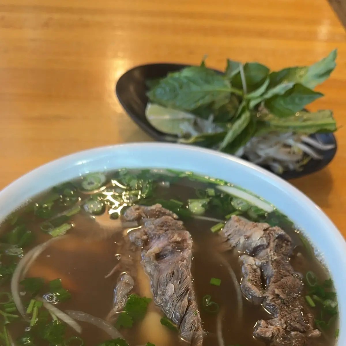 Beef Soup