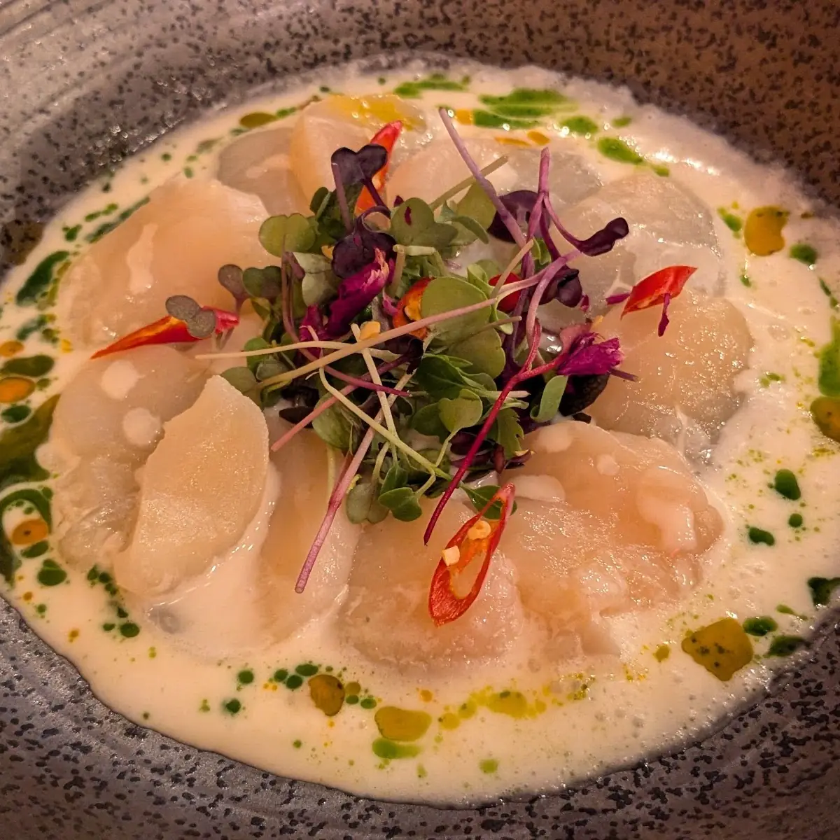 Seared Scallops with Coconut Sauce