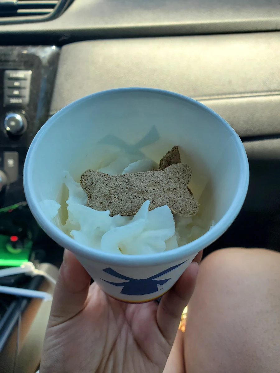 Whip Cream