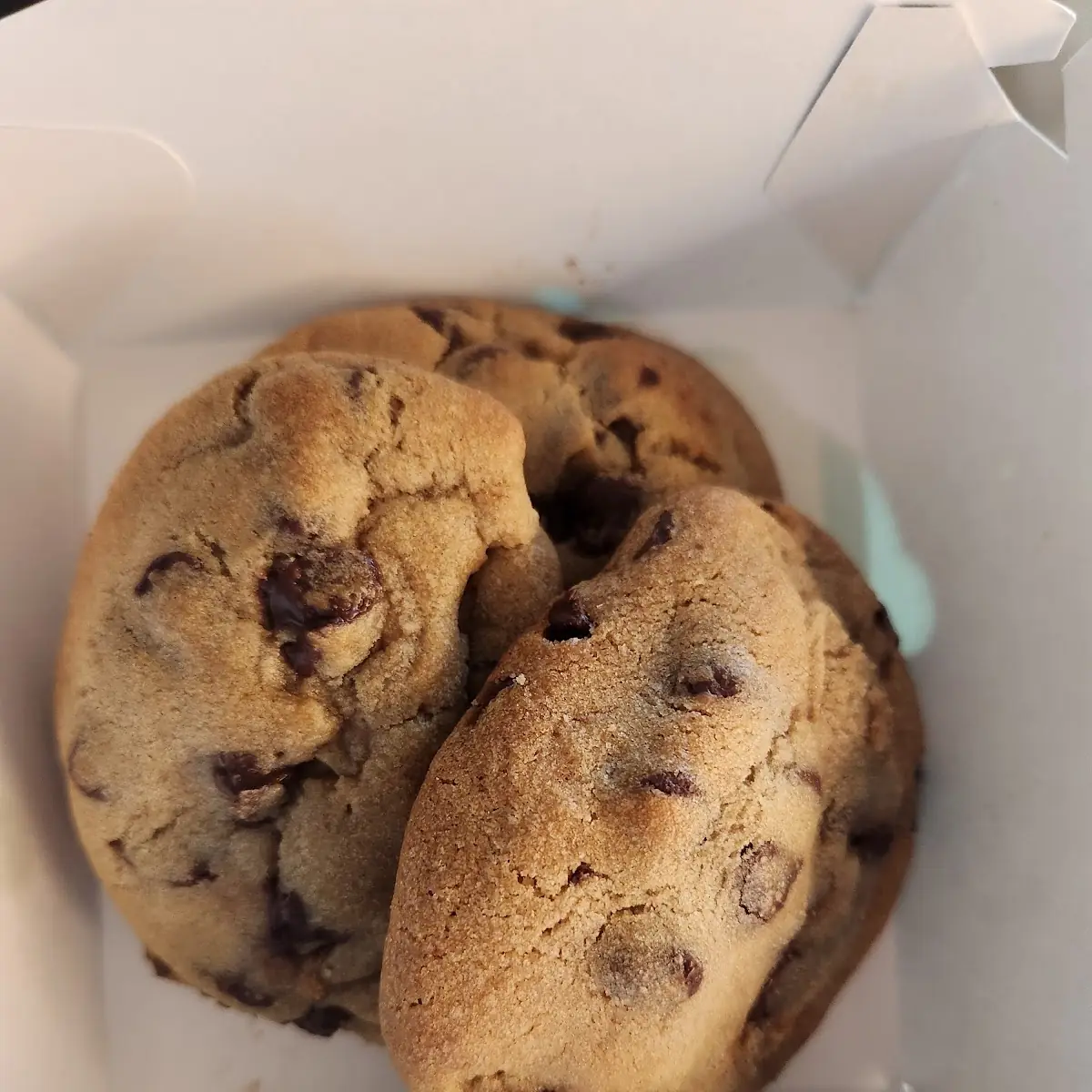 Chocolate Chip