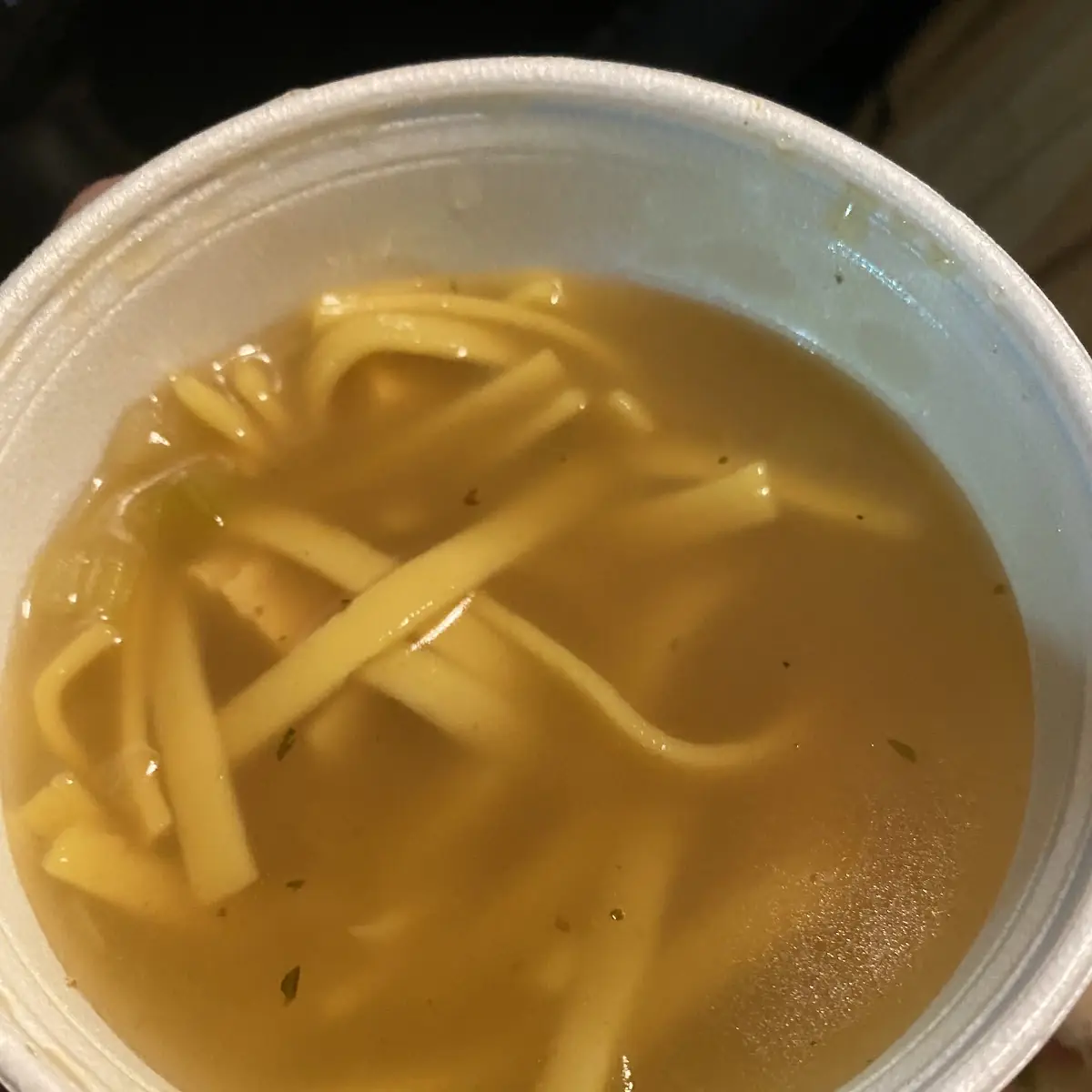 Chicken Noodle Soup