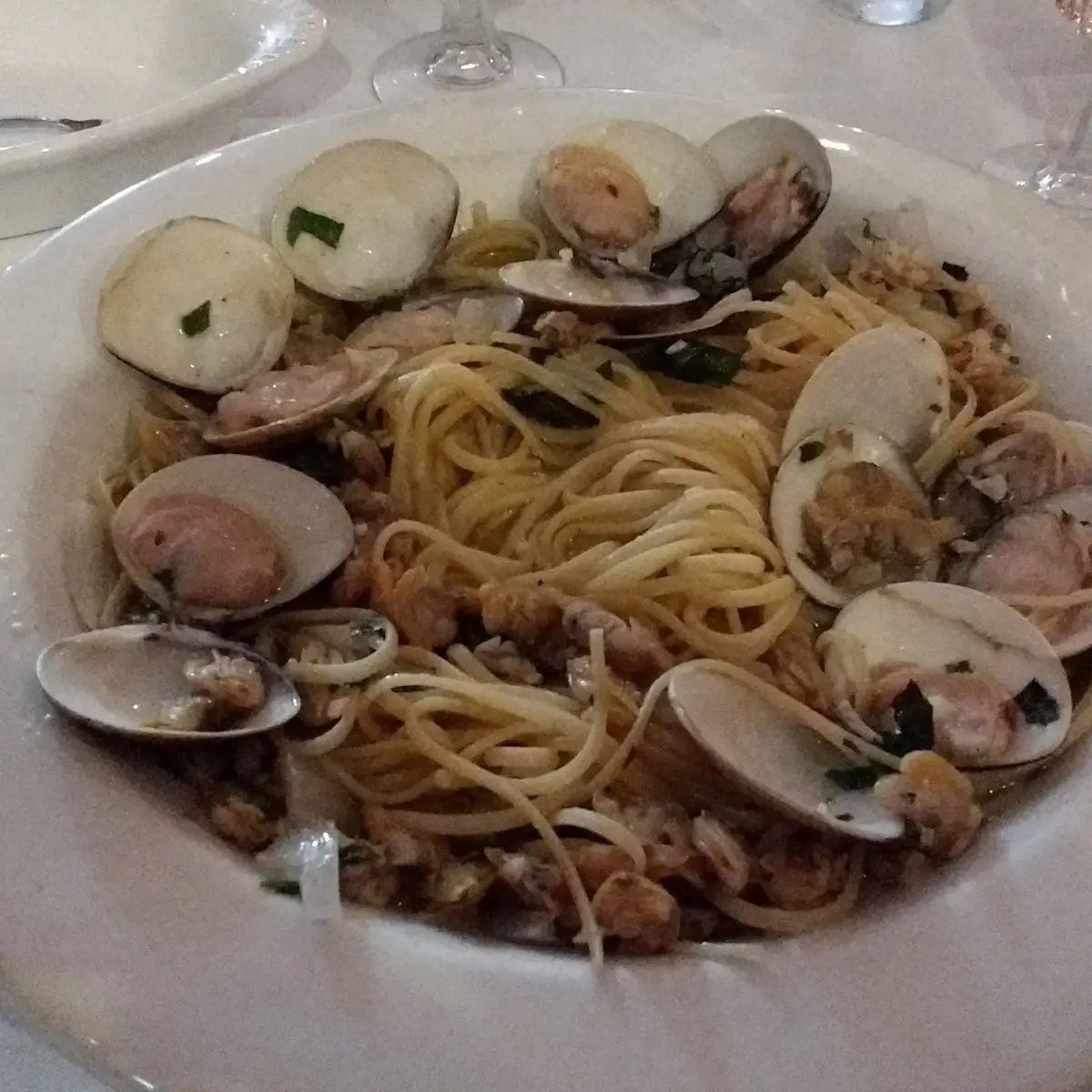 Clam Sauce