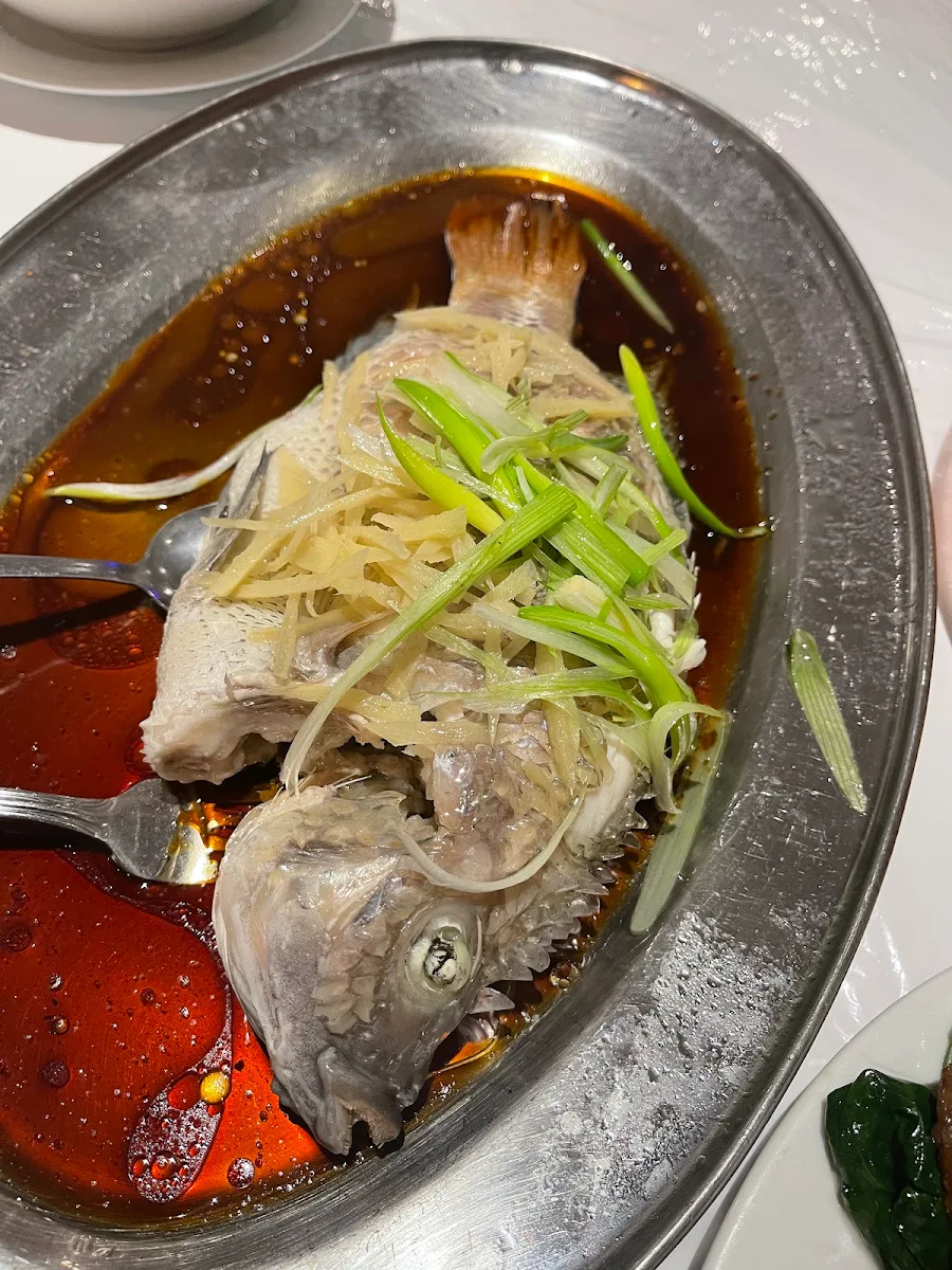 Steamed Fish, Foo Lam Restaurant Maison