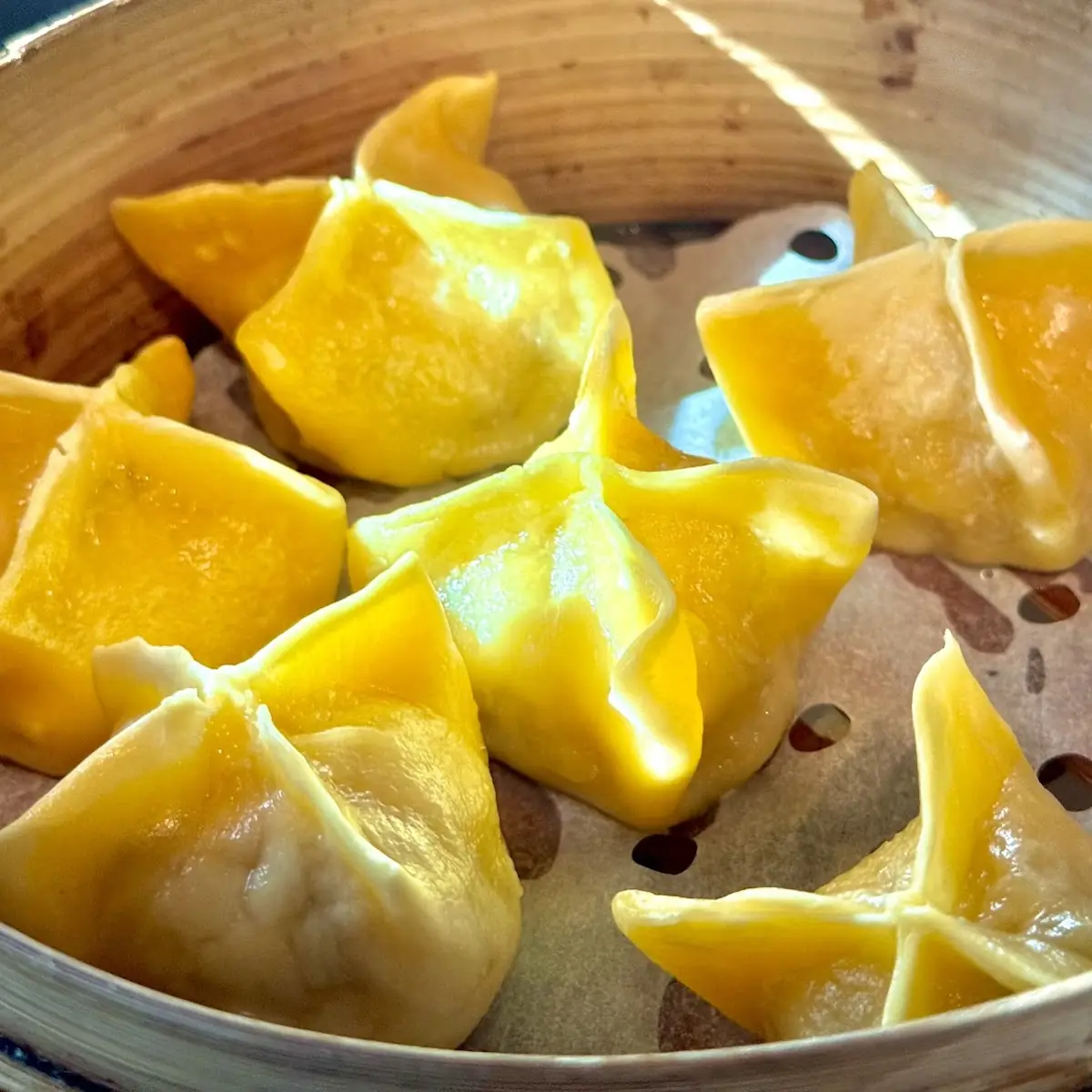 Chicken Dumplings