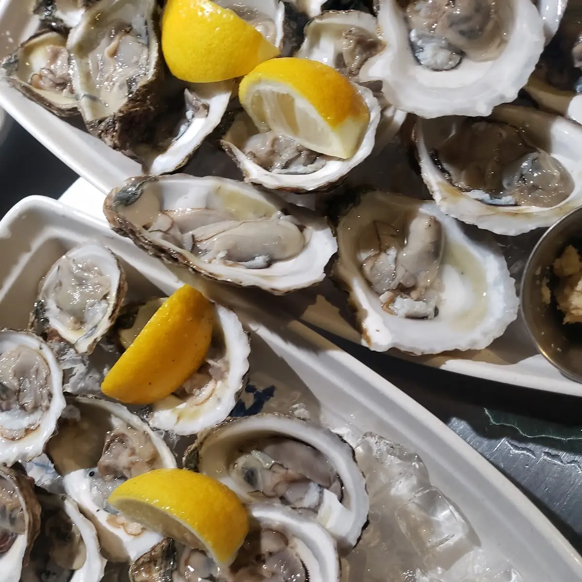 Blue Point Oysters