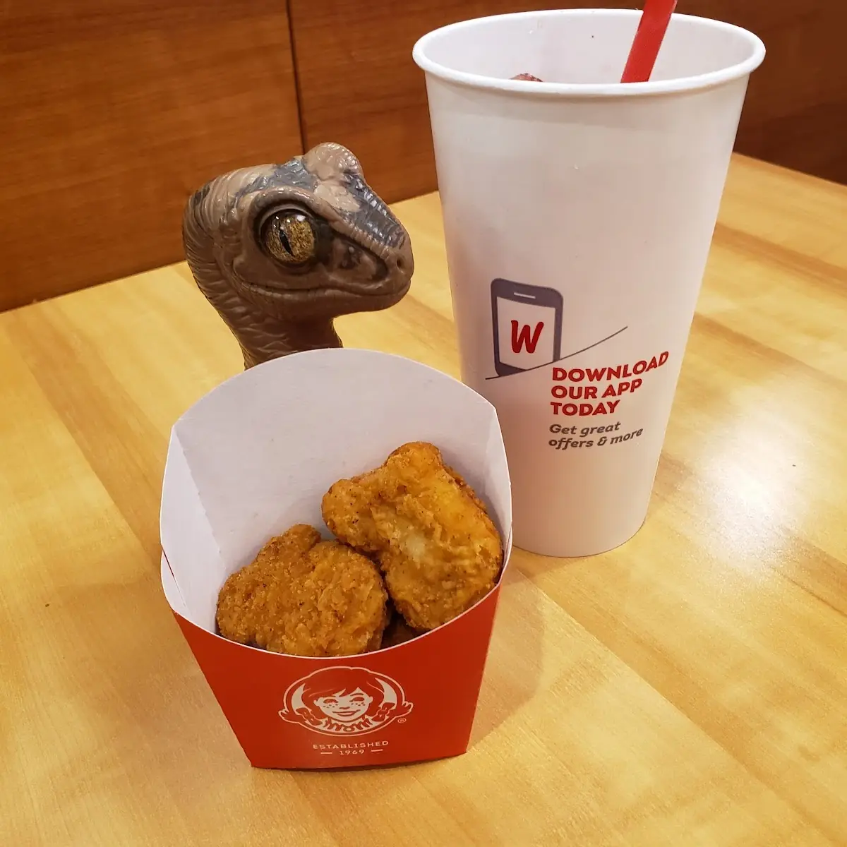 Chicken Nuggets with Fries