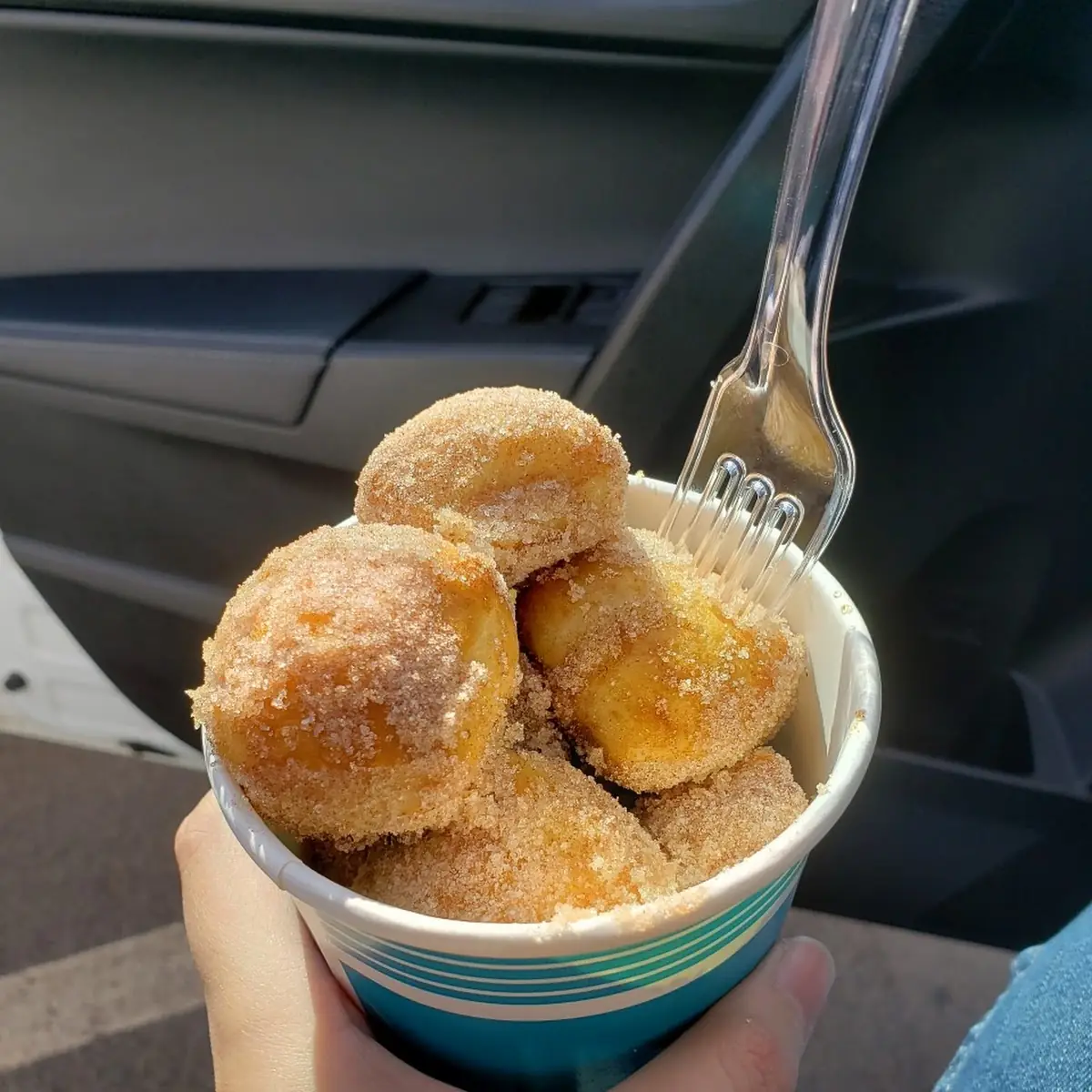 Cinnamon Sugar Pretzel Bites