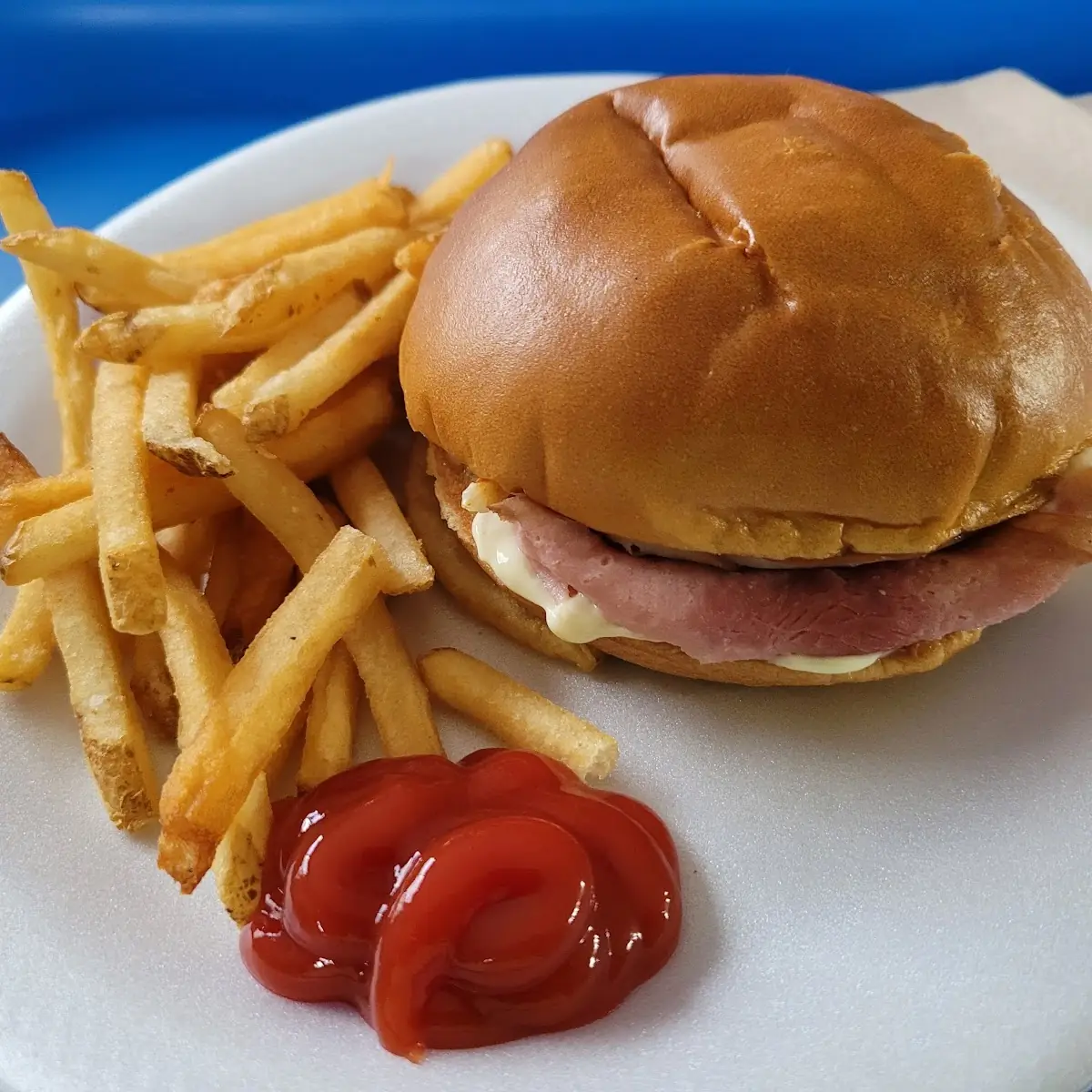 Hot Ham & Cheese Sandwich & Fries