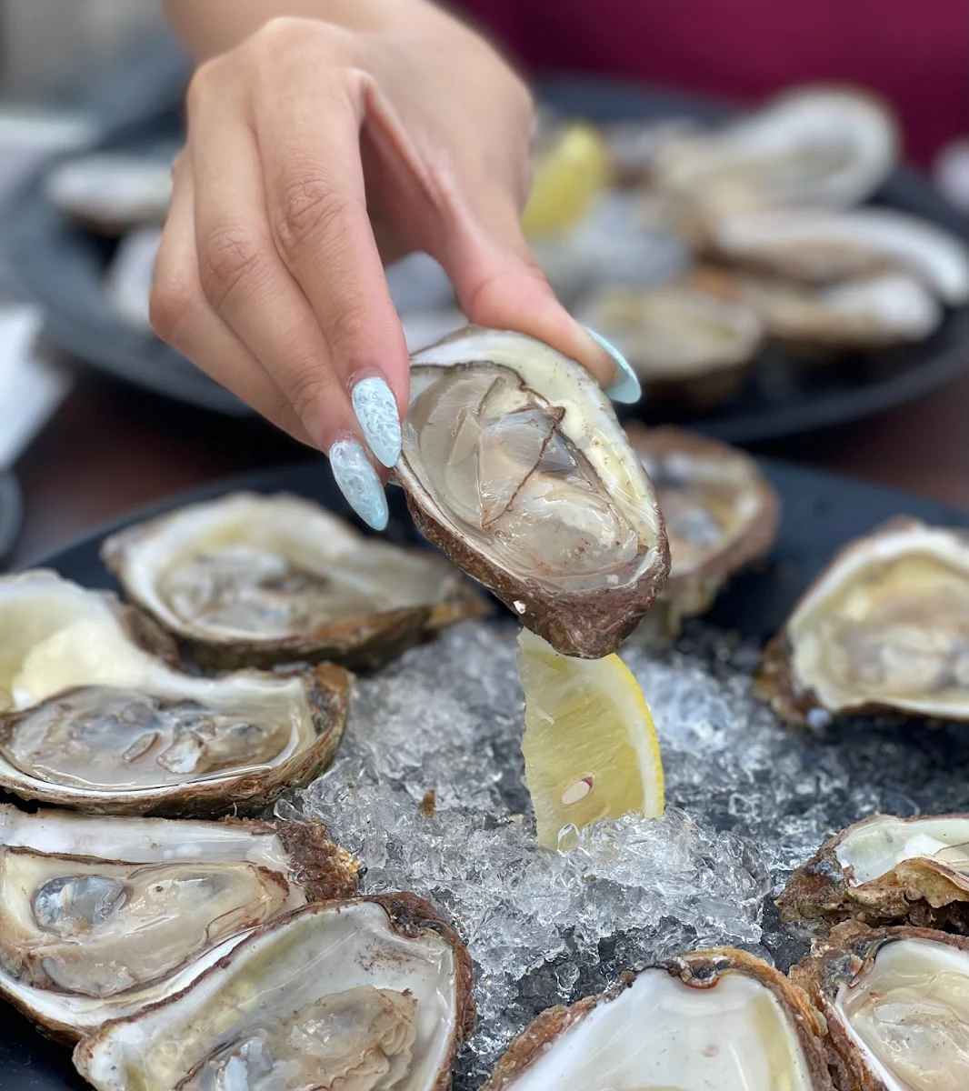 Malpeque Oysters, Nomé Izakaya (Don Mills)
