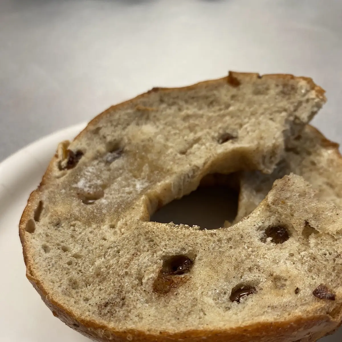 Cinnamon Raisin Bagel