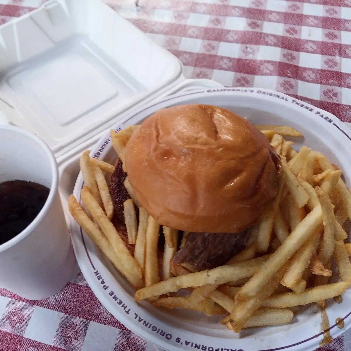 Pot Roast Beef Burger and Fries