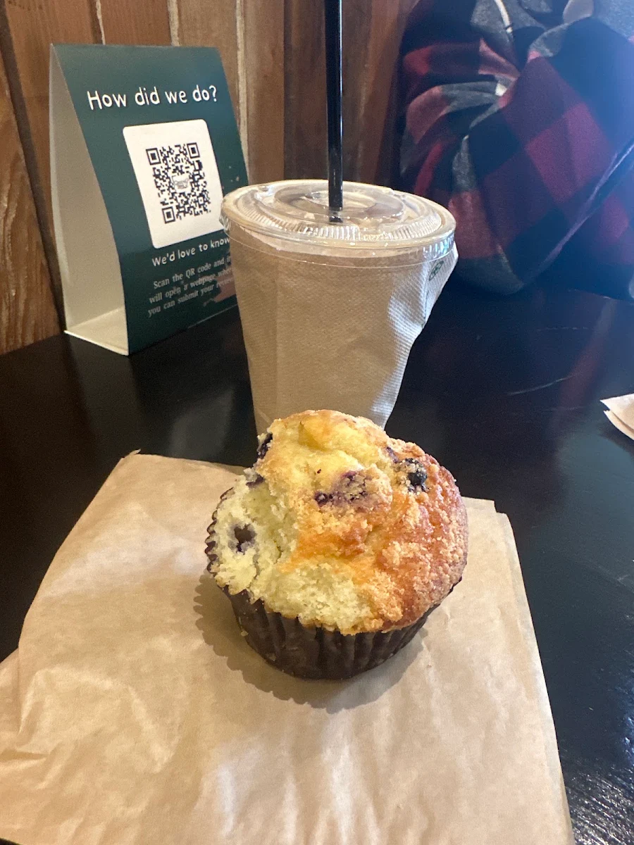 Blueberry Muffin