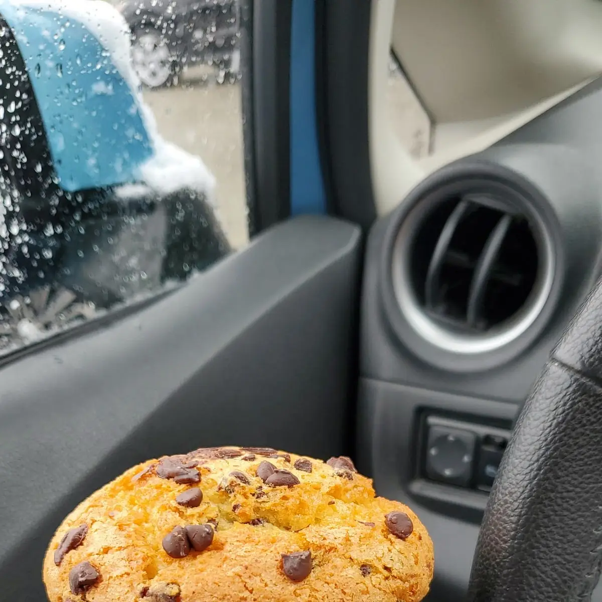 Chocolate Chip Muffin