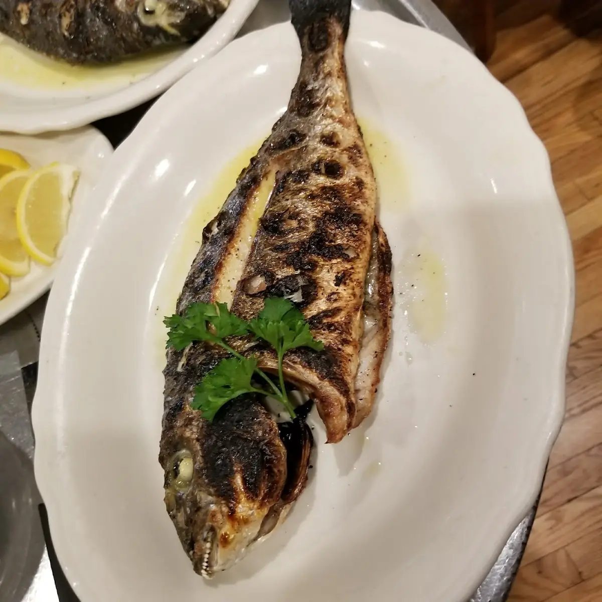 Mediterranean Sea Bass