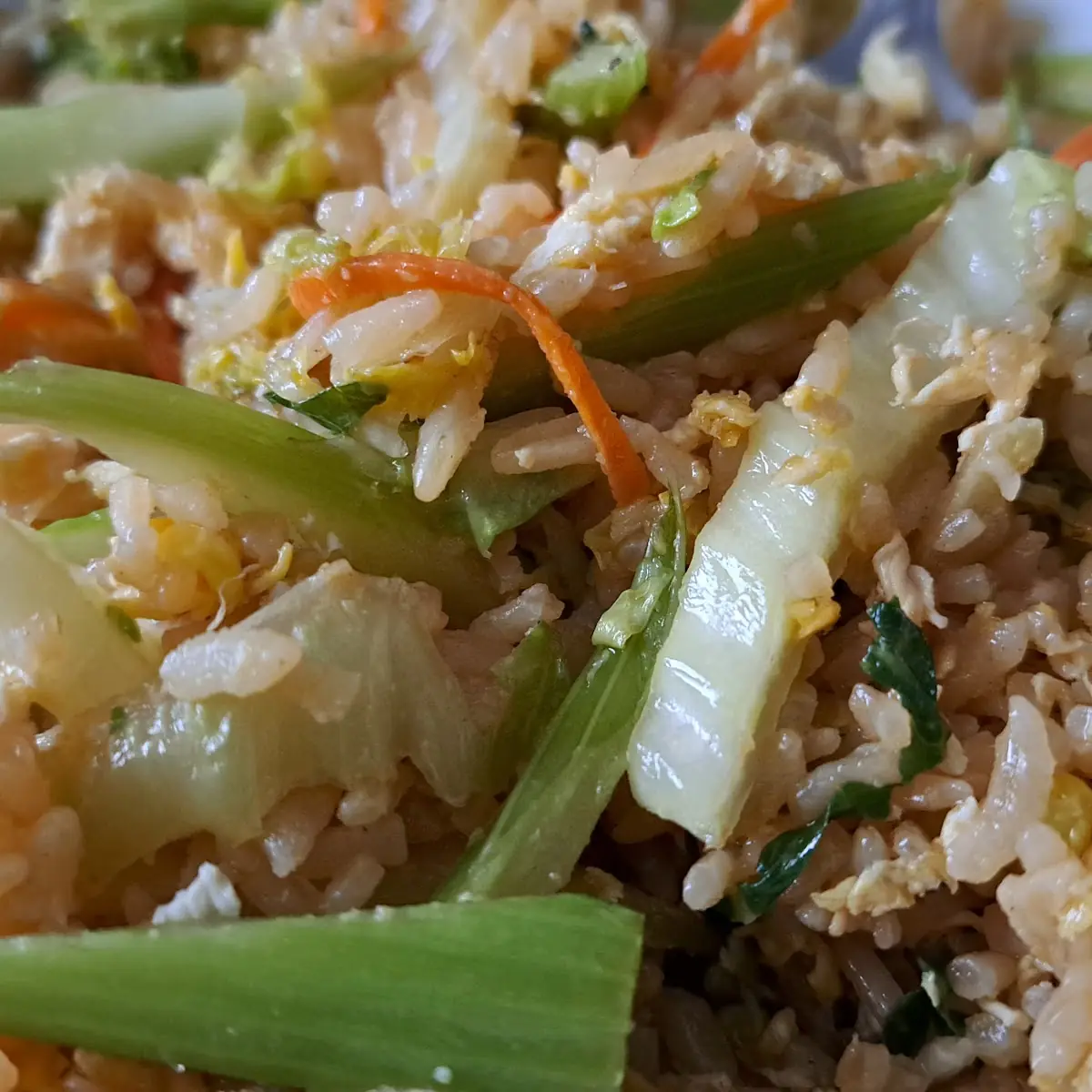 Vegetable Fried Rice
