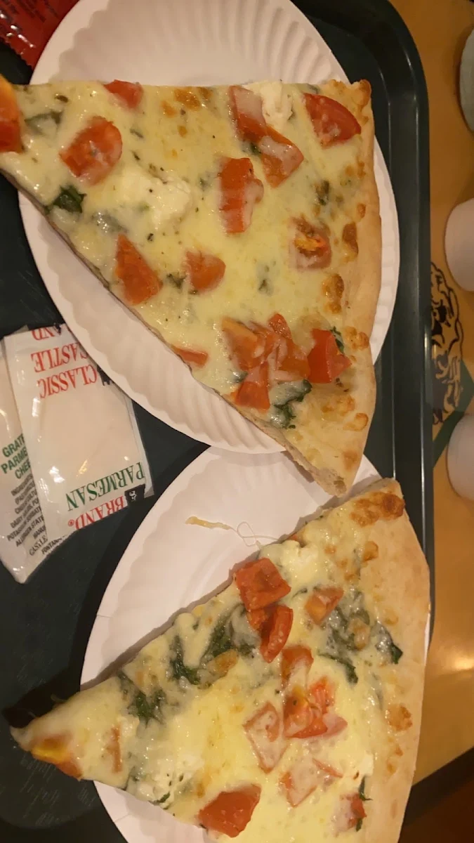 Pizza Margherita