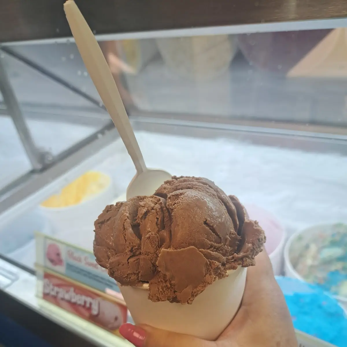 Chocolate Ice Cream