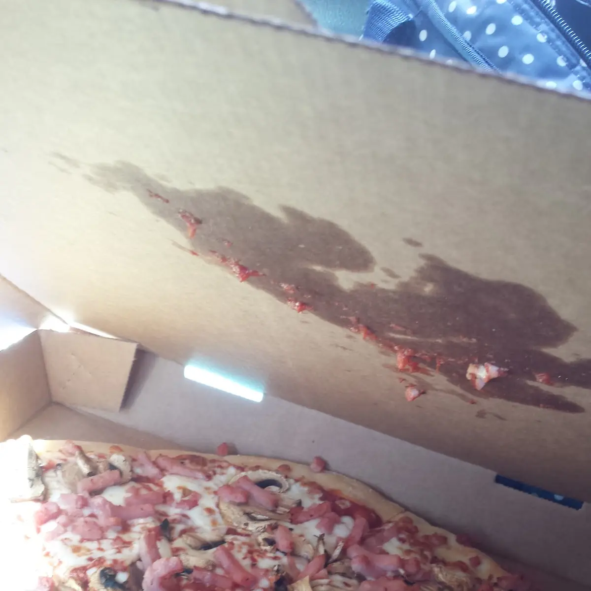 Meat Pizza