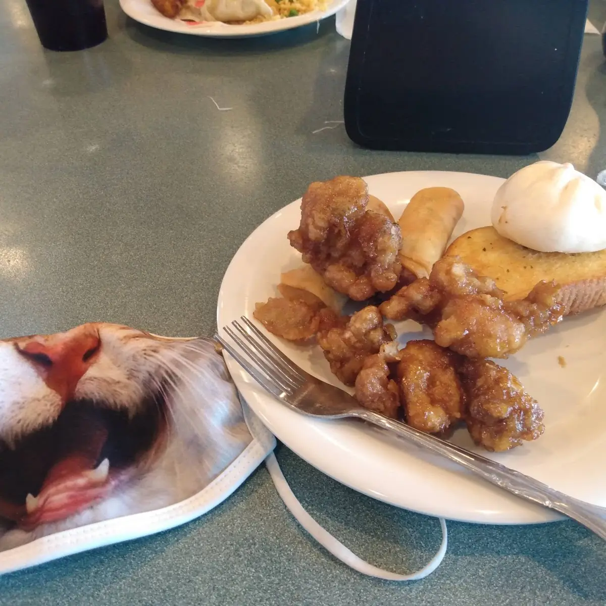 Orange Chicken with Garlic Bread Egg Roll Dumpling