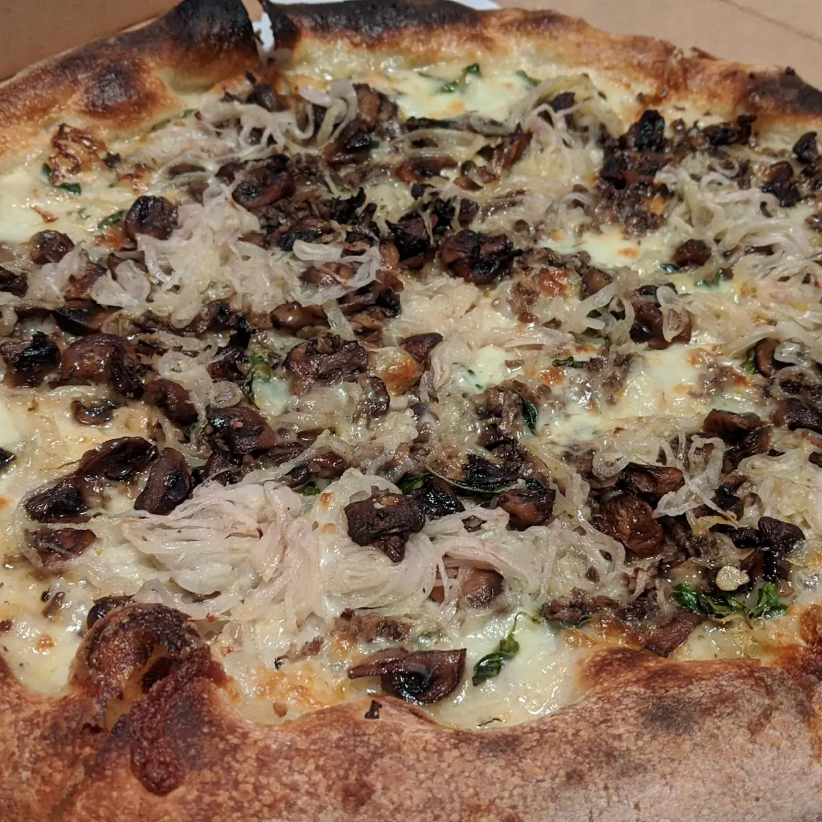 Mushroom Pizza
