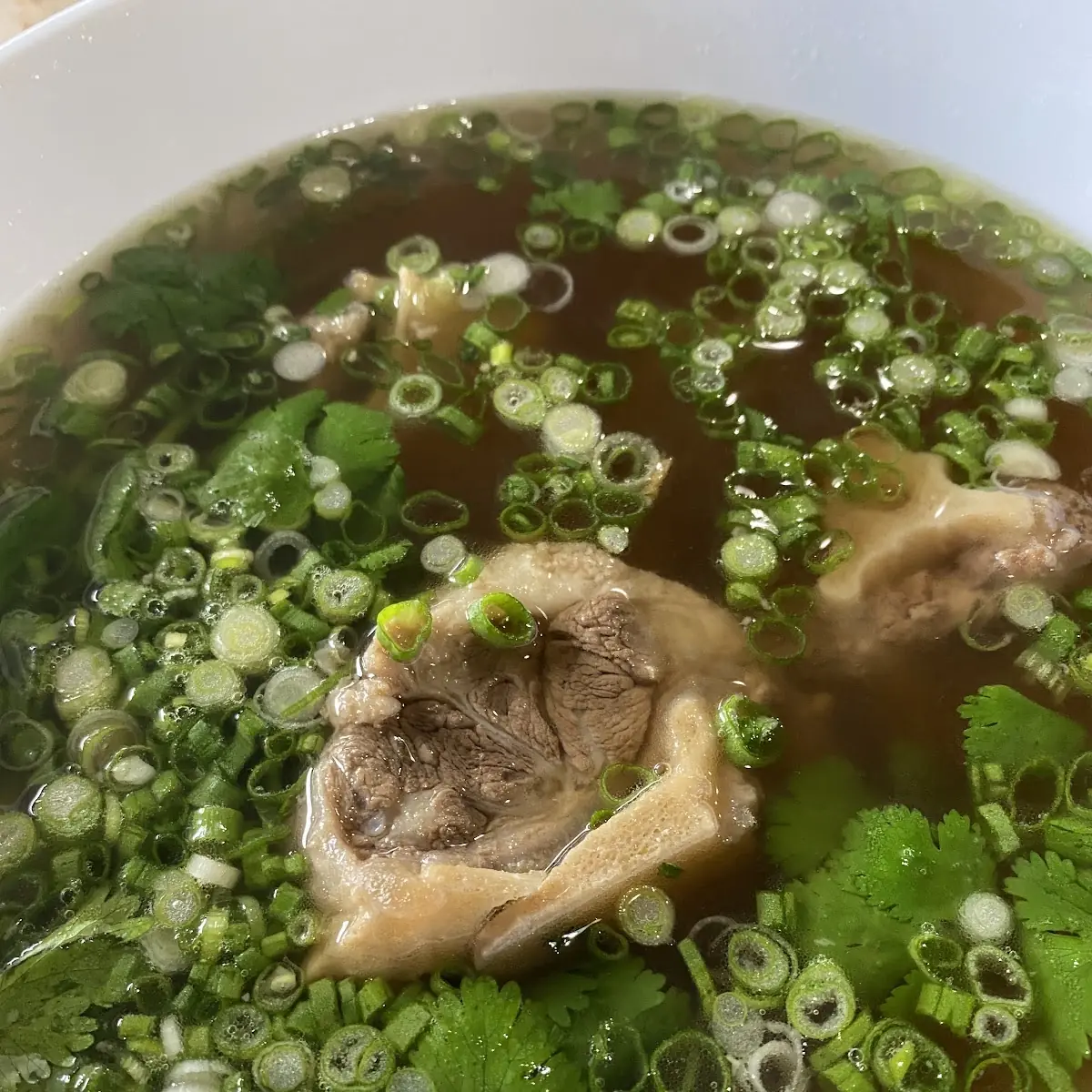 Oxtail Soup