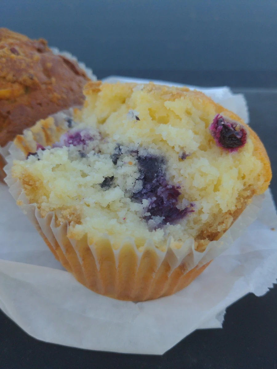 Blueberry Muffin