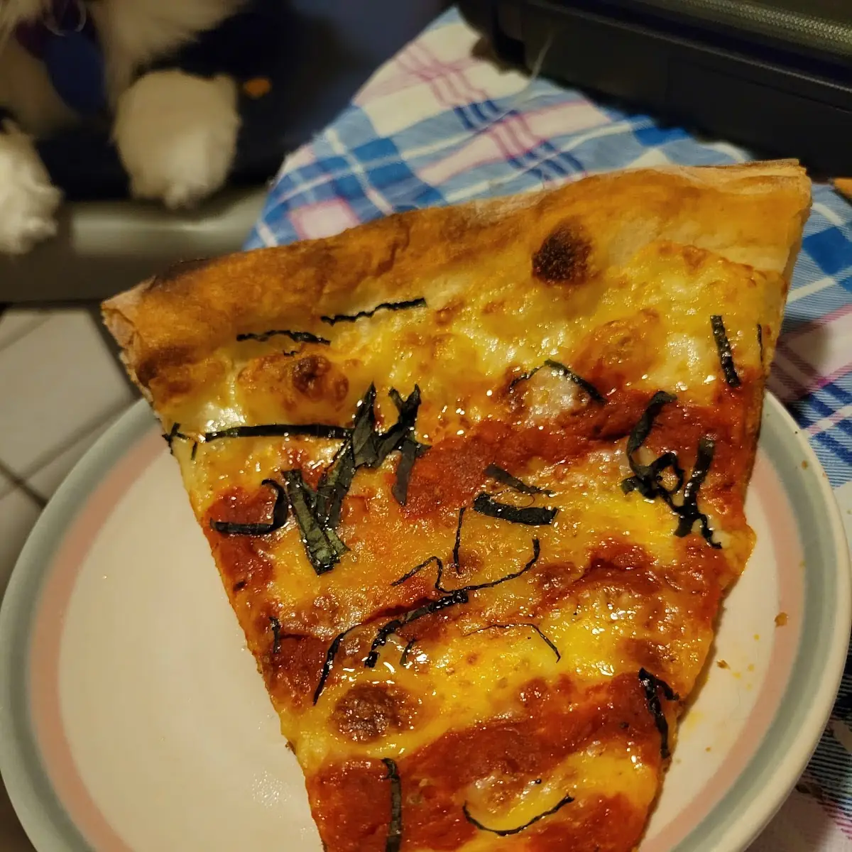 Cheese Pizza