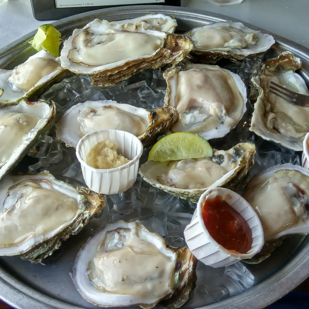 Half-Shell Oysters Dozen