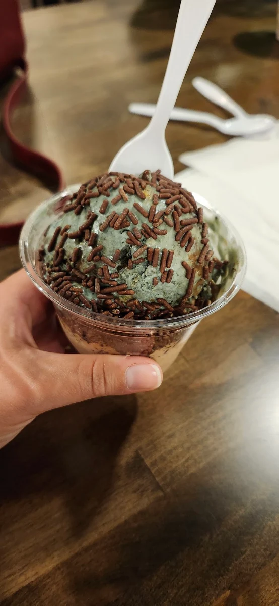 Oreo Mint Chocolate Chip Ice Cream