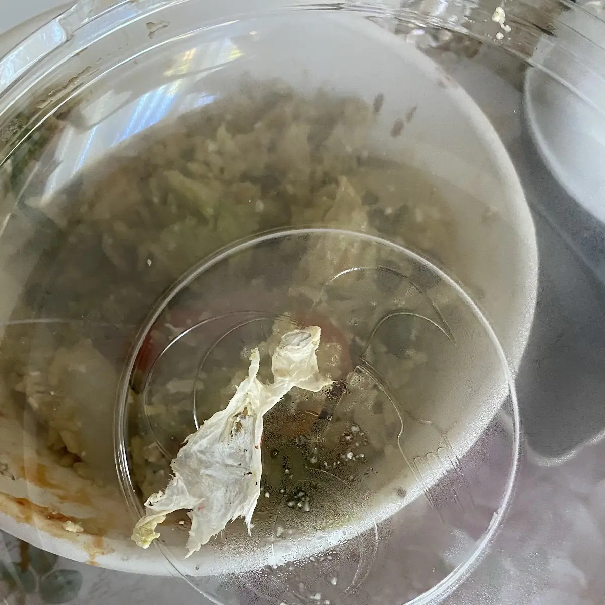 Chicken Soup