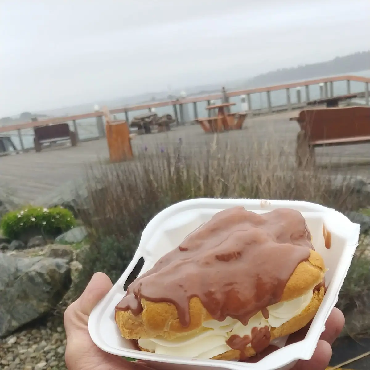 Apple Fritter