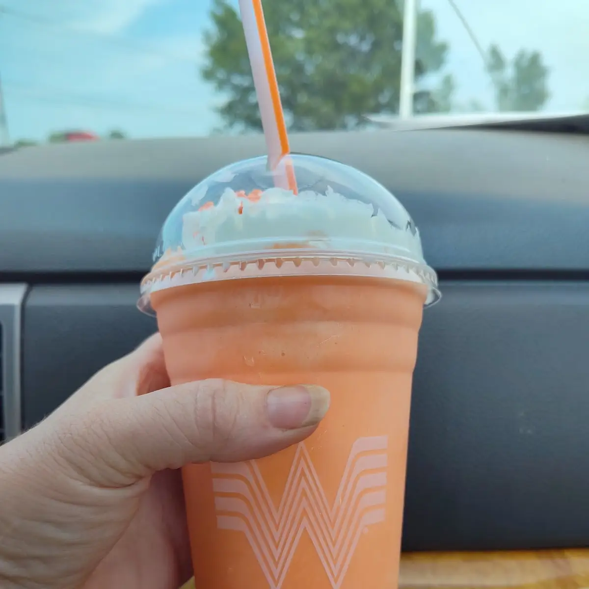 Birthday Cake Shake