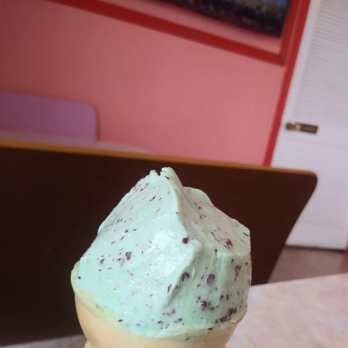 Mint Chocolate Ice Cream