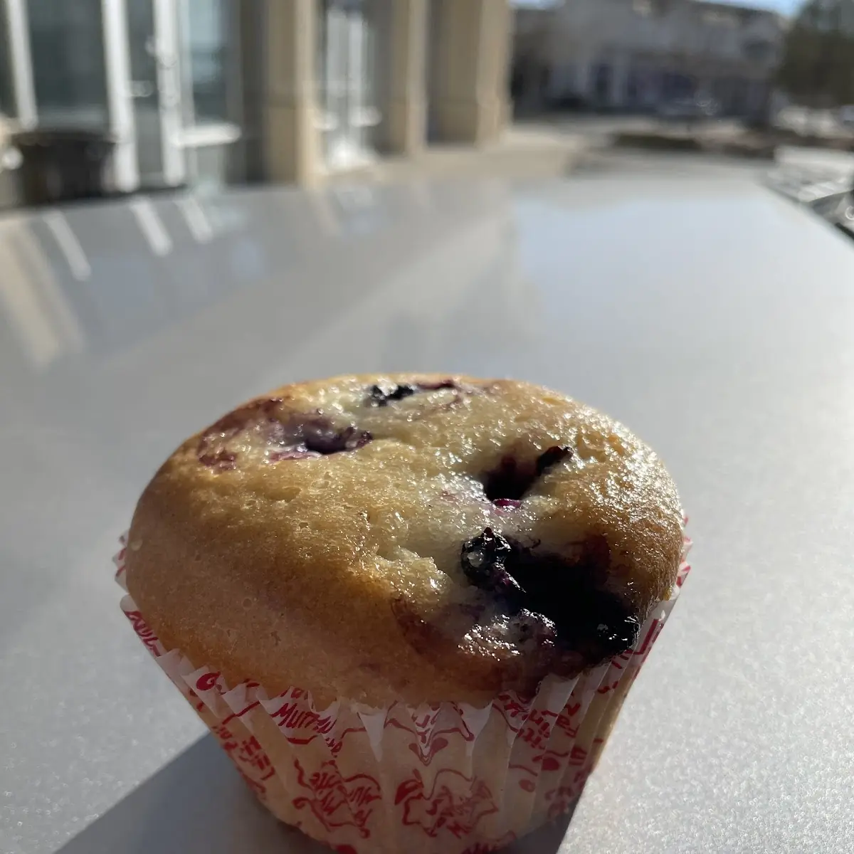 Blueberry Muffin